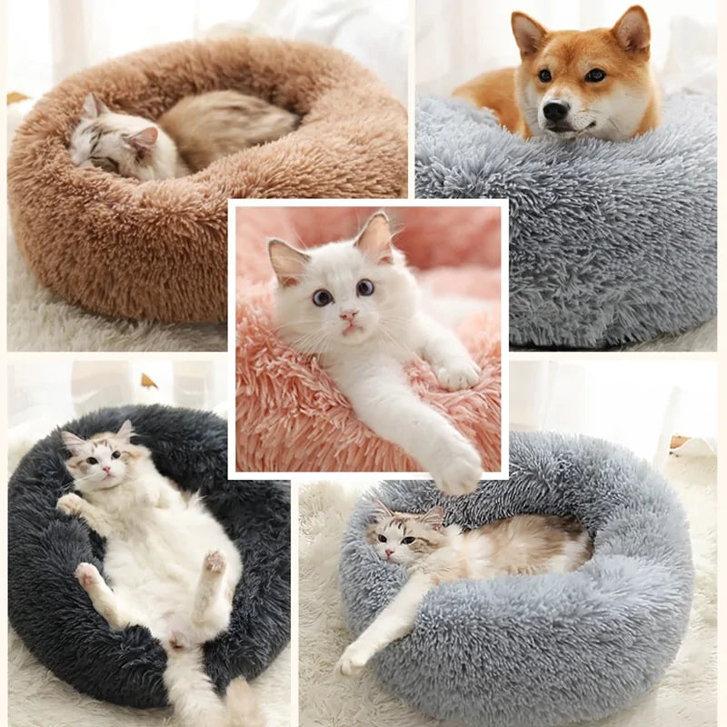 Plush Round Dog Bed